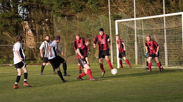 流的教练团 流的教练团