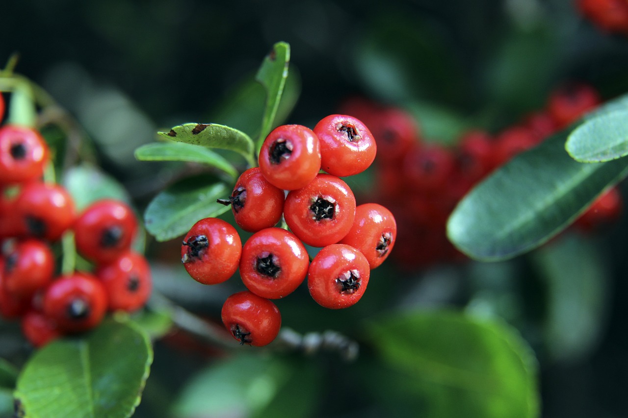 否会爆冷 否会爆冷