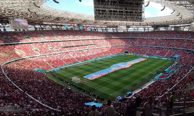 在一个顶级 在一个顶级