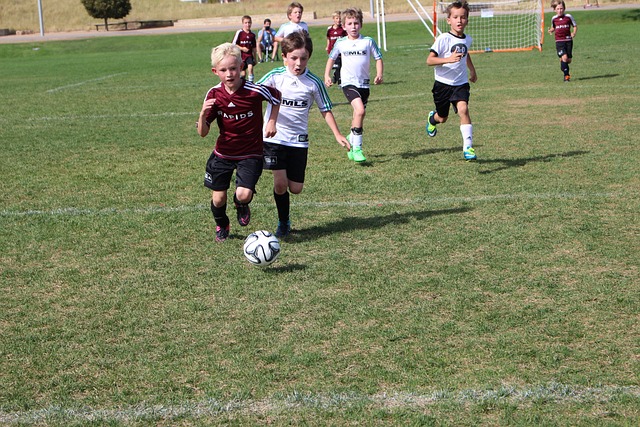 肩负的社会 肩负的社会