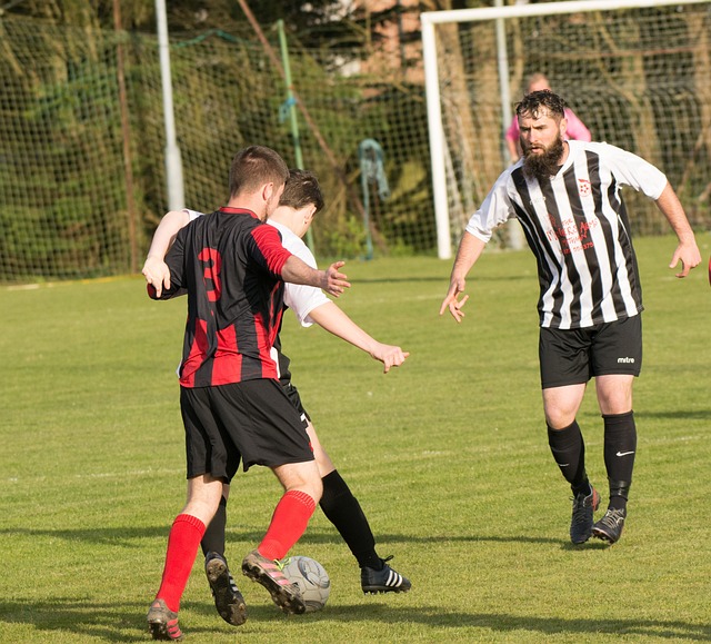 上调动队员 上调动队员