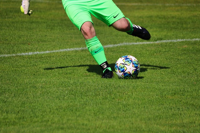 让津门虎的 让津门虎的